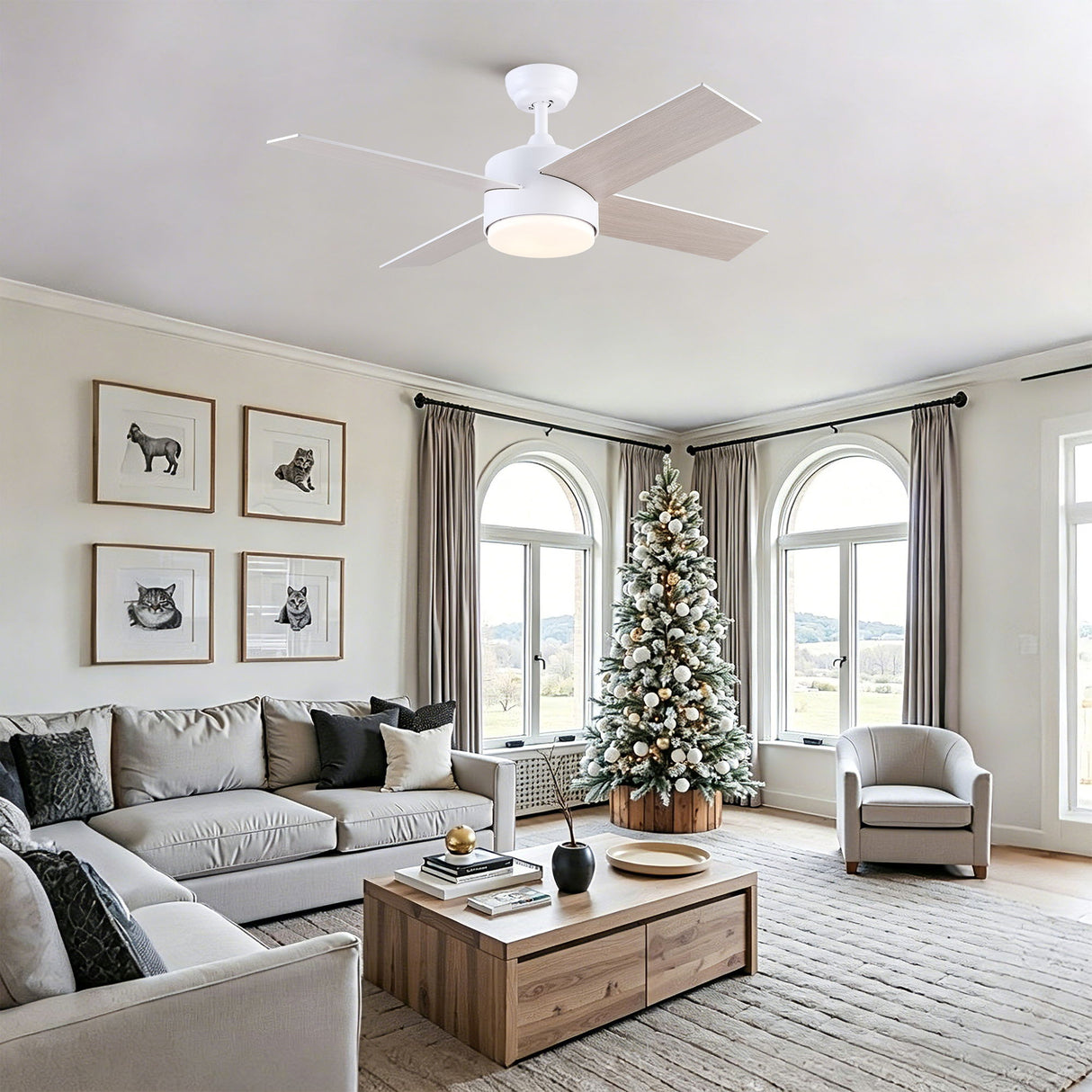 Ceiling Fan With Remote Control, Reversible DC Motor, 6 Speeds, 3 Dimmable LED, Quiet Timer For Indoor - White