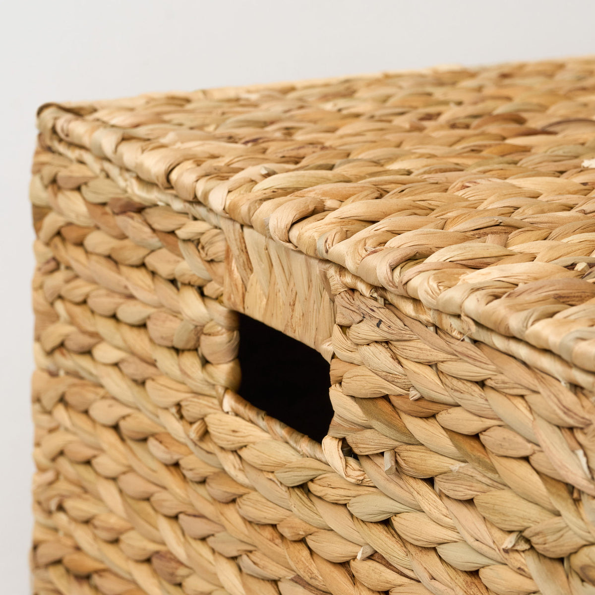 Ludmila - Rectangular Storage Trunk