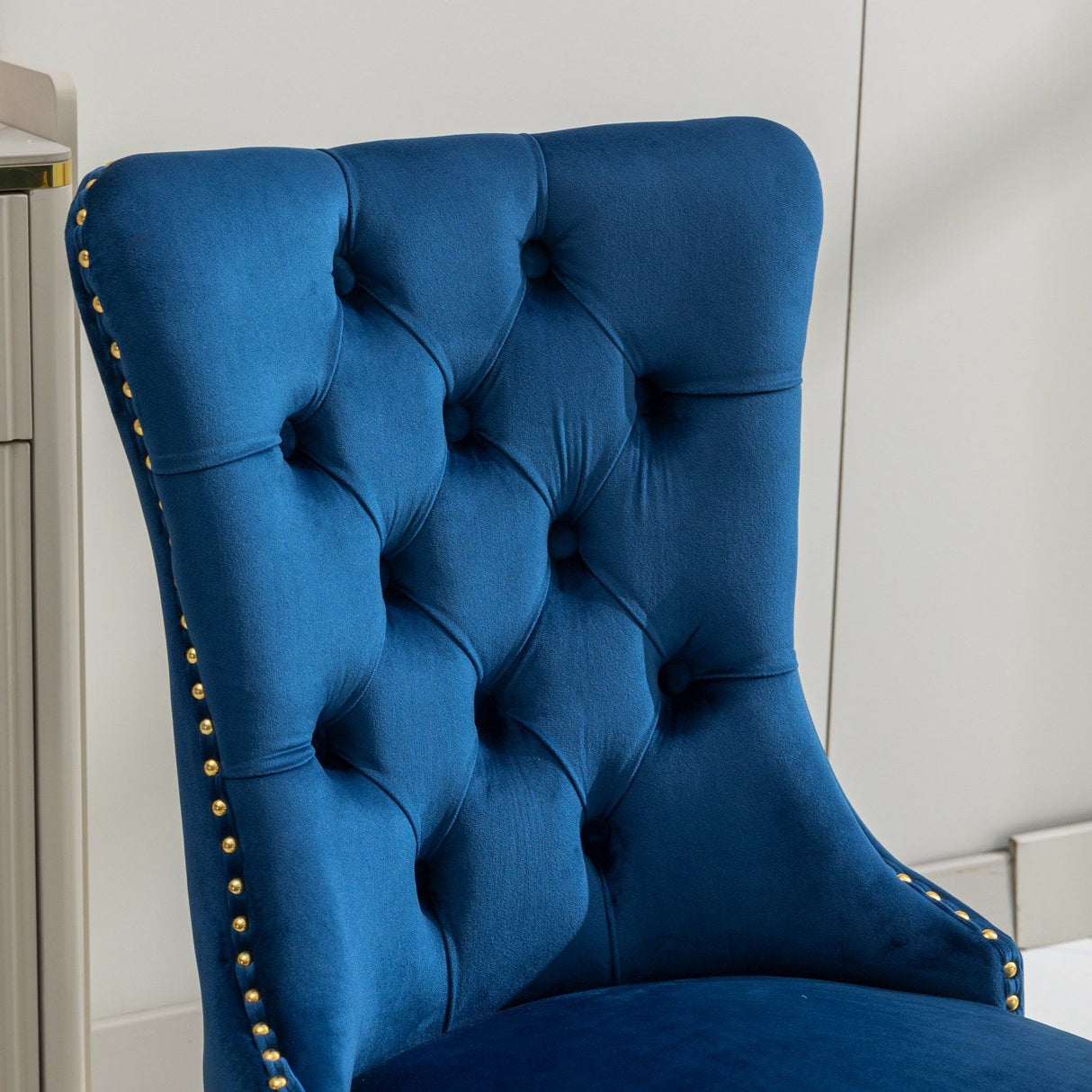 Nikki - Modern, High-End Tufted Dining Chair (Set of 2)