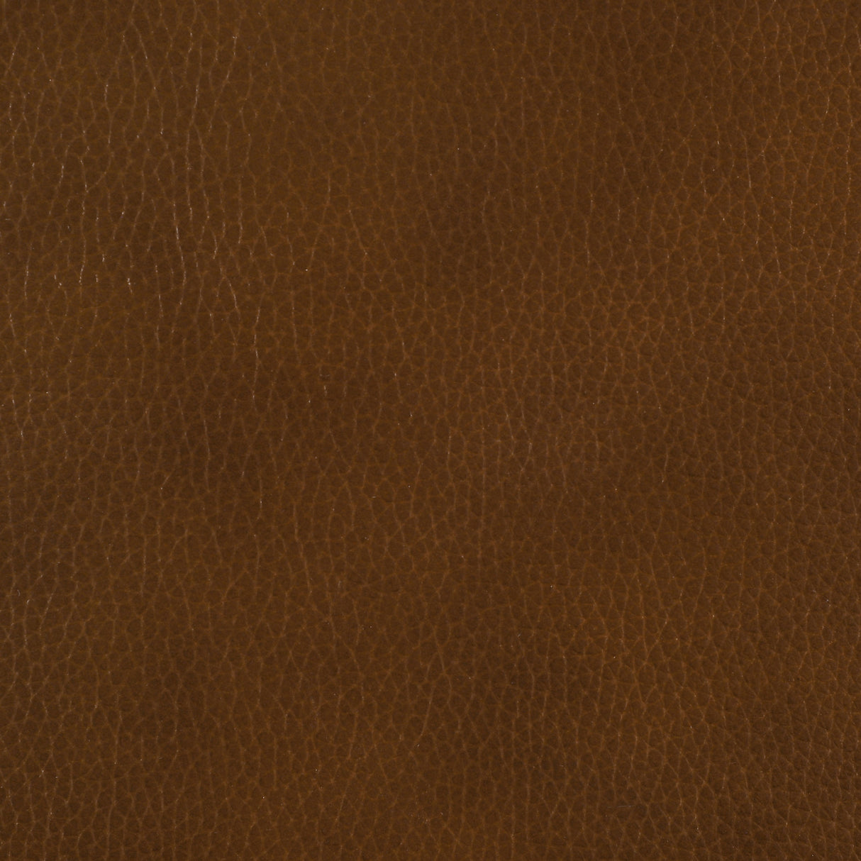 Vardon Dark Brown Genuine Leather Counter Height Chairs, Set of 2
