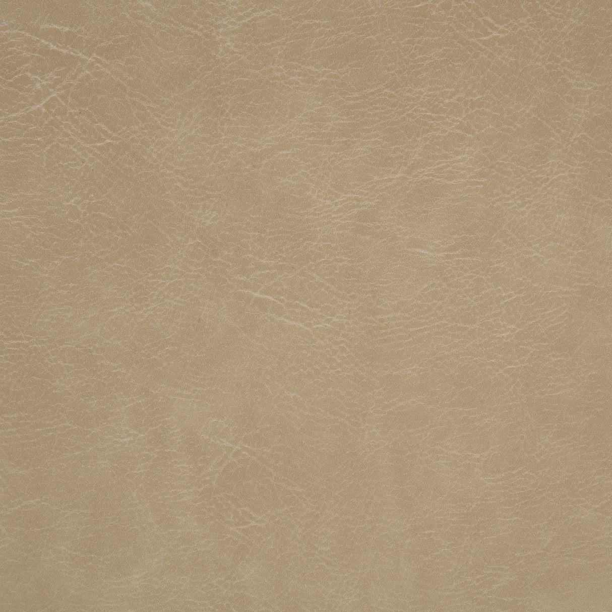Ortega Upholstered Dining Side Chair Tan, Set of 2