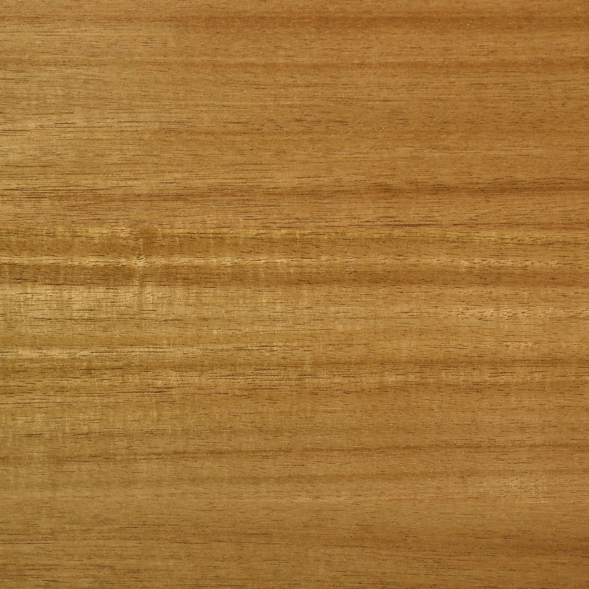 Fabra 79" Rectangular Acacia Veneer Dining Table in Honey