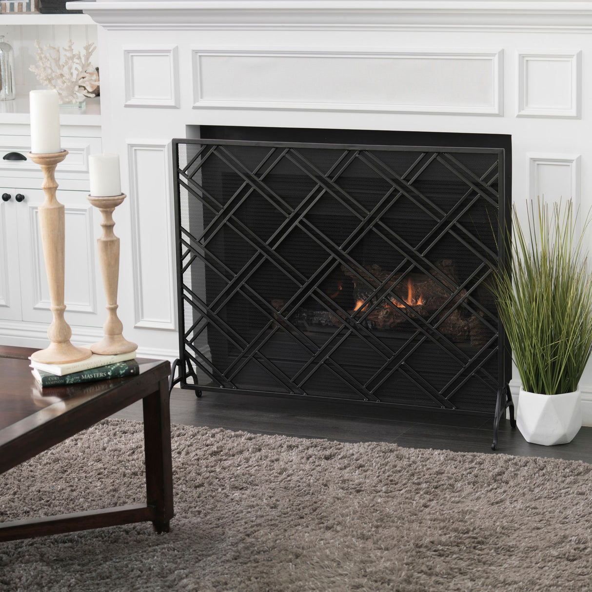 Elegant Design Fire Screen Protective Barrier Iron - Black