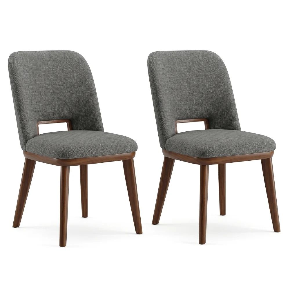 Blake - Modern Dining Chair (Set of 2)