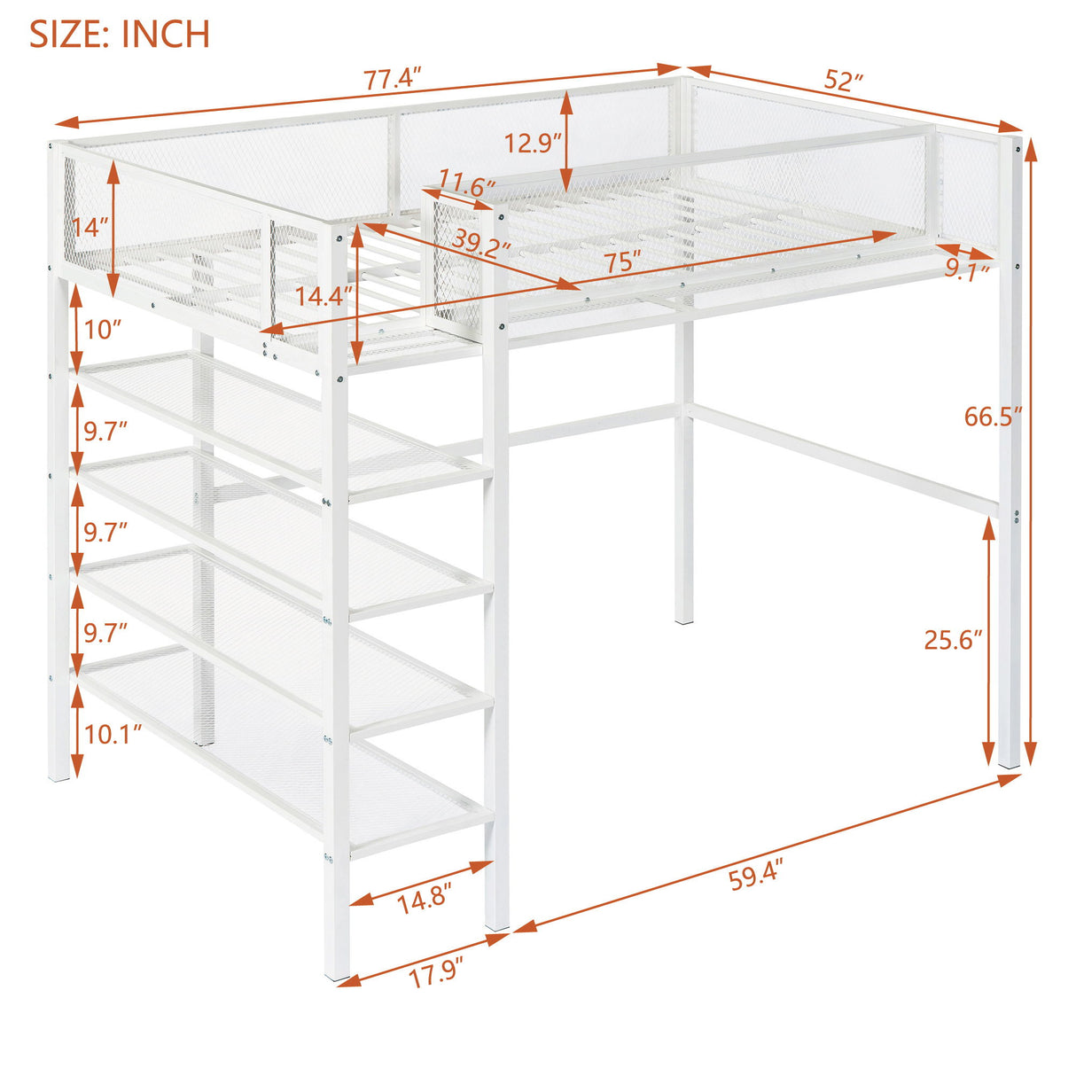 Twin Size Loft Bed With 4 Tier Shelves And Storage - White
