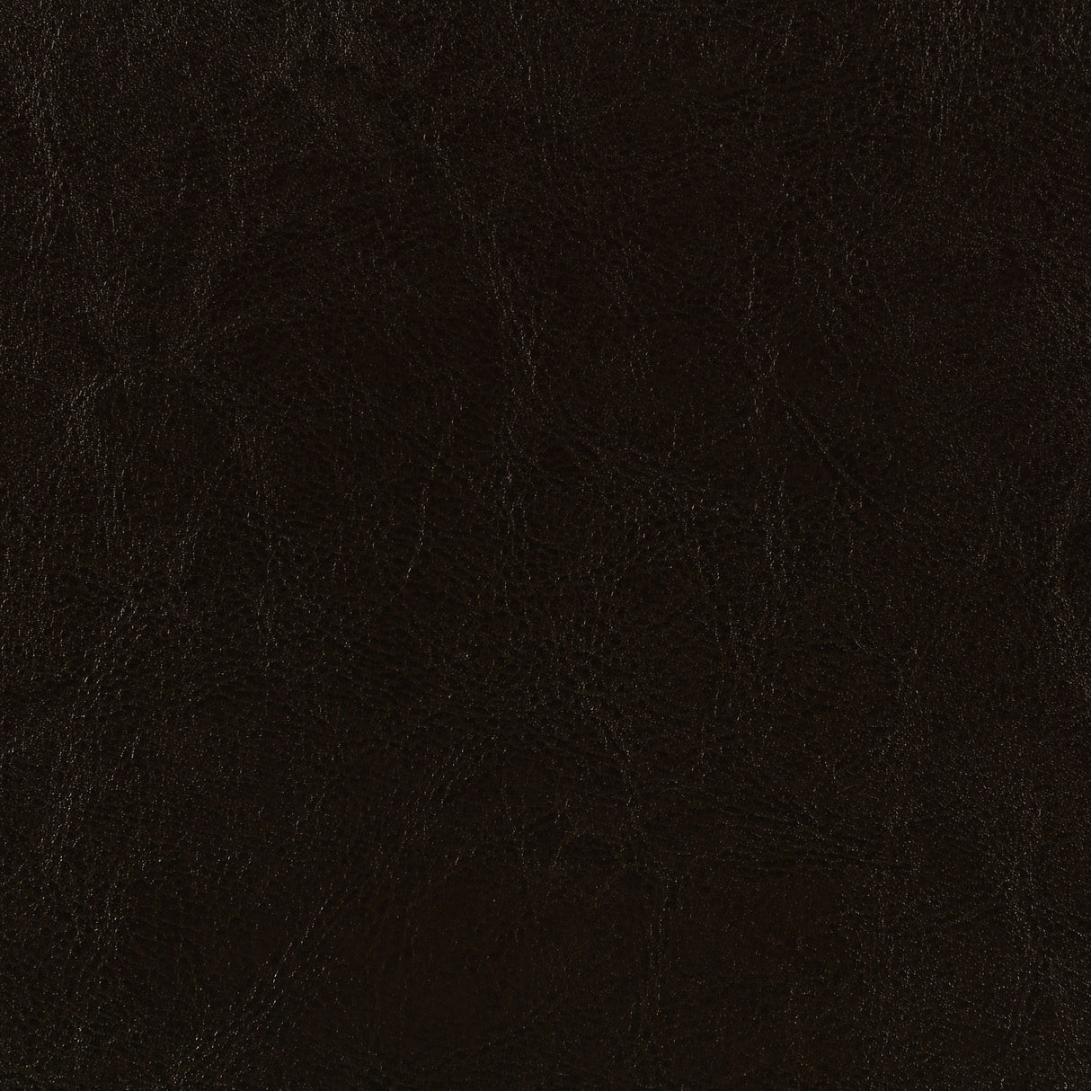 Dorian Faux Leather Upholstered Queen Panel Bed, Brown