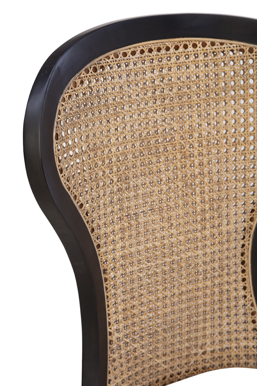 Adrina - Side Chair (Set of 2) - Black