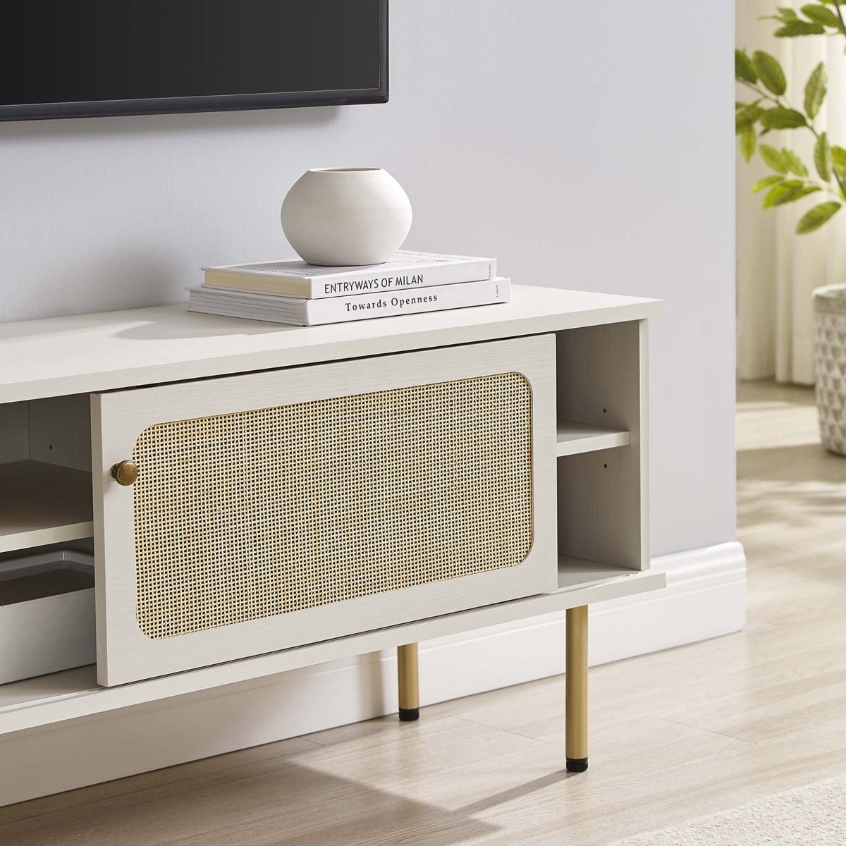47 Inch Modern Rattan Sliding Door TV Stand - TV Stands available at Alpine Outlets in Denver