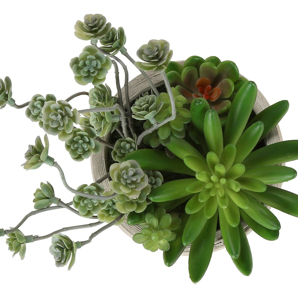 Artificial Succulent, Table Decor (Set of 2) - Green / Beige