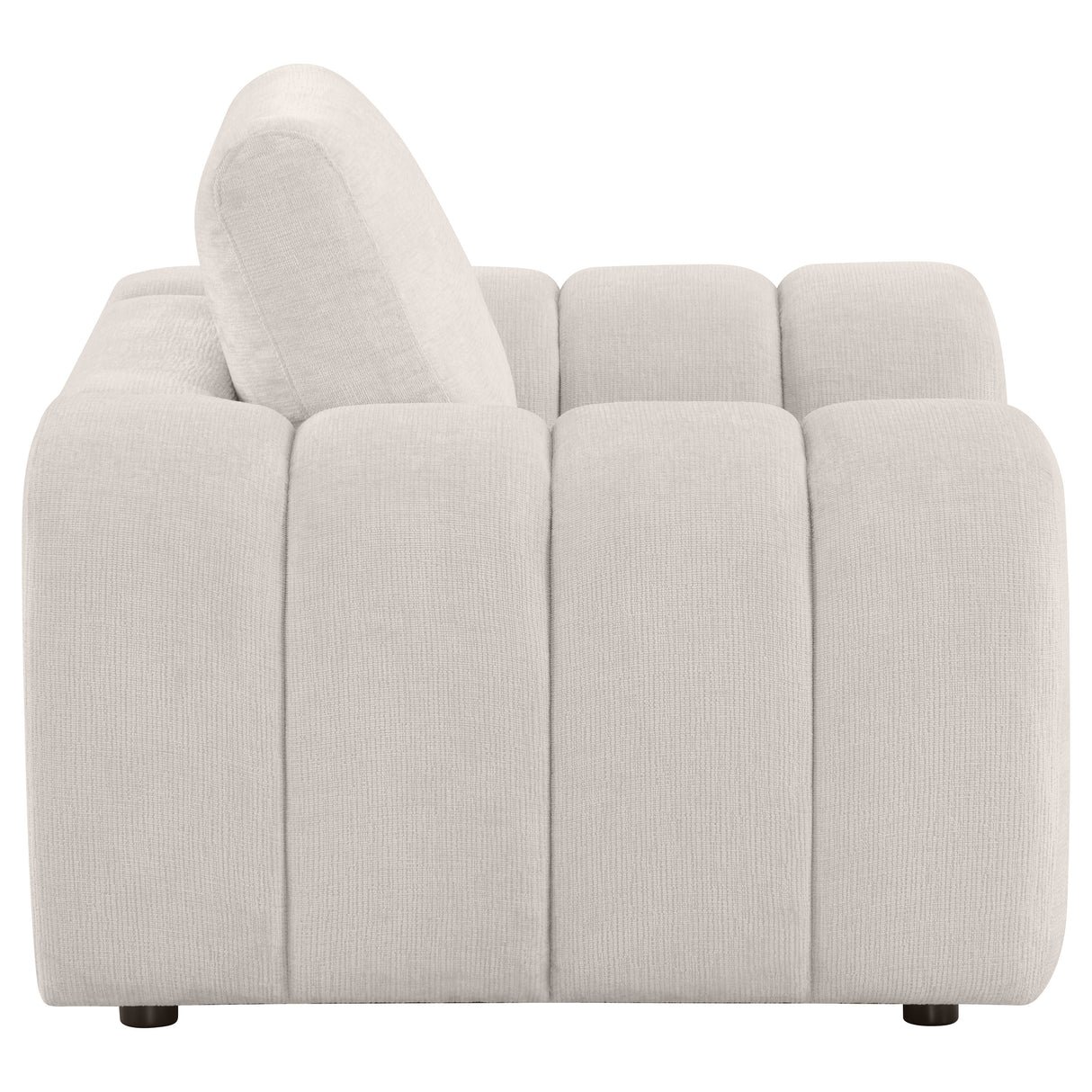 Burnett Chenille Upholstered Accent Chair in Ivory