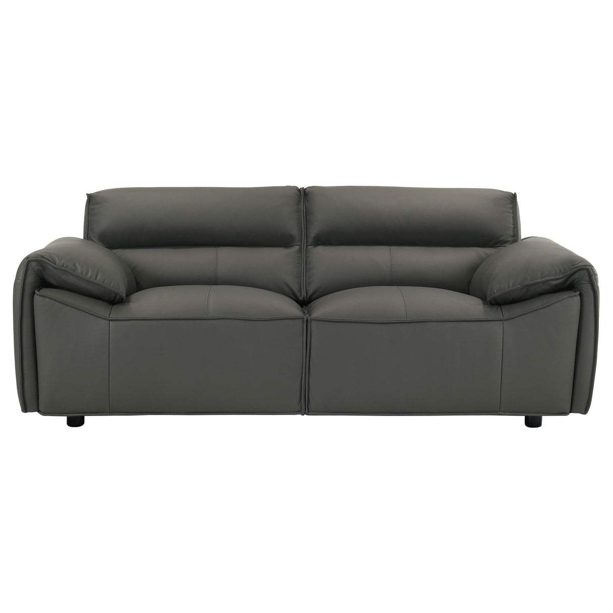 Buxton 2-Piece Leather Sofa Set in Graphite