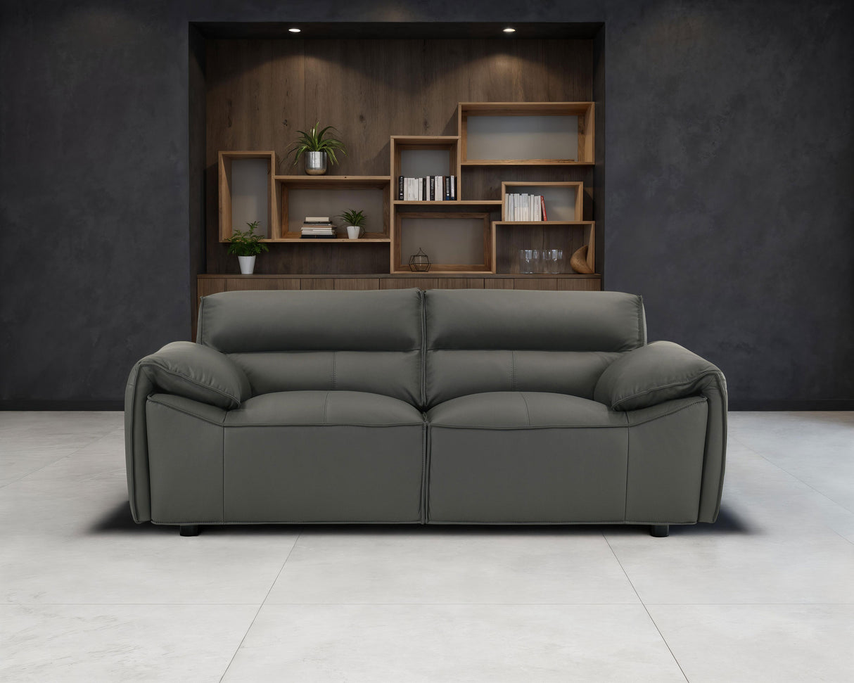 Buxton Top Grain Leather Loveseat in Graphite
