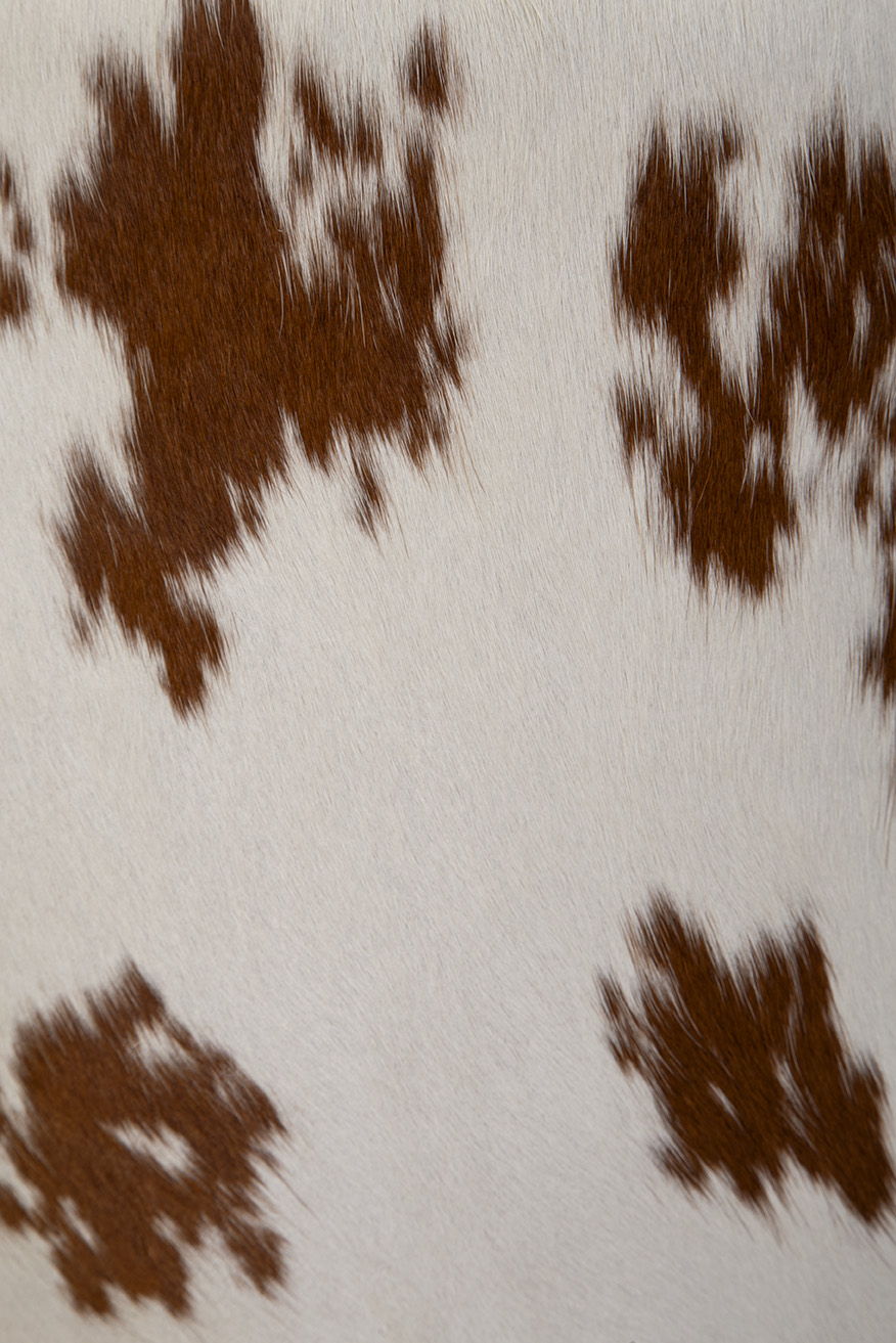 Sierra - Counter Stool - Light Brown
