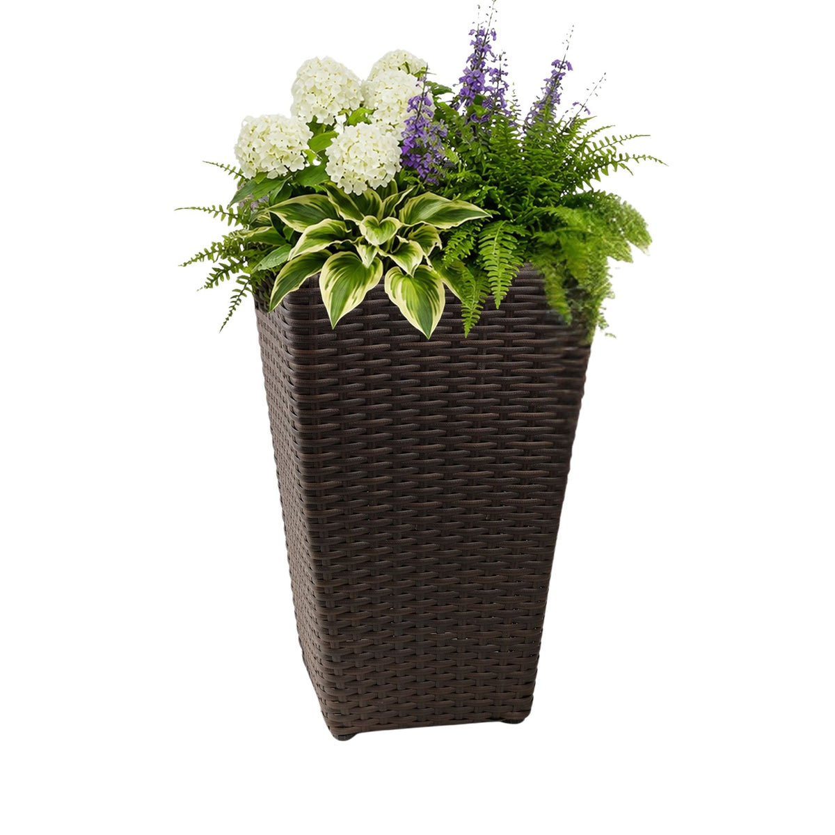 Solhome - Indoor / Outdoor Decorative Planter With Removable Insert (Set of 2) - Brown Ebony