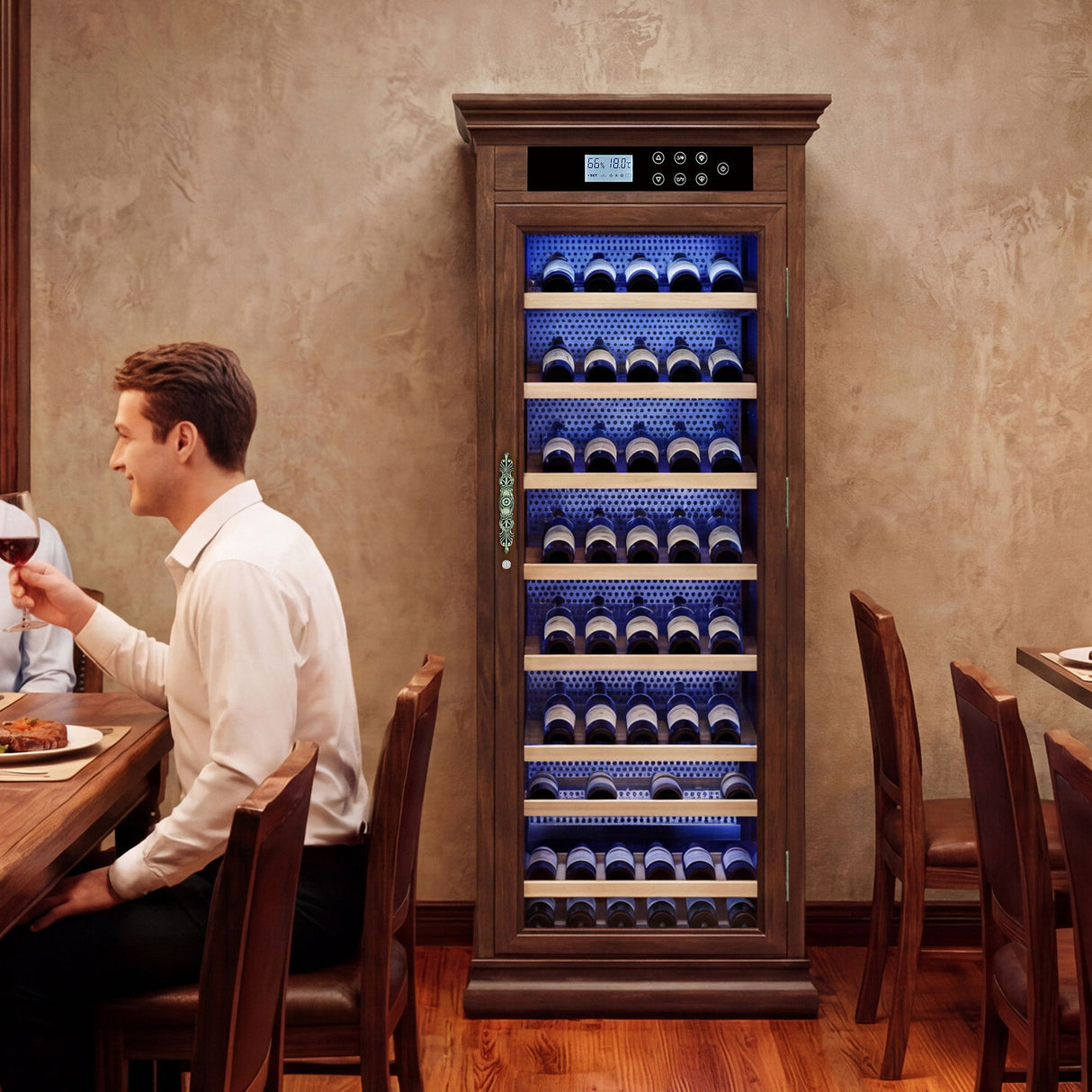 Temperature Control Professional Wine Cabinet