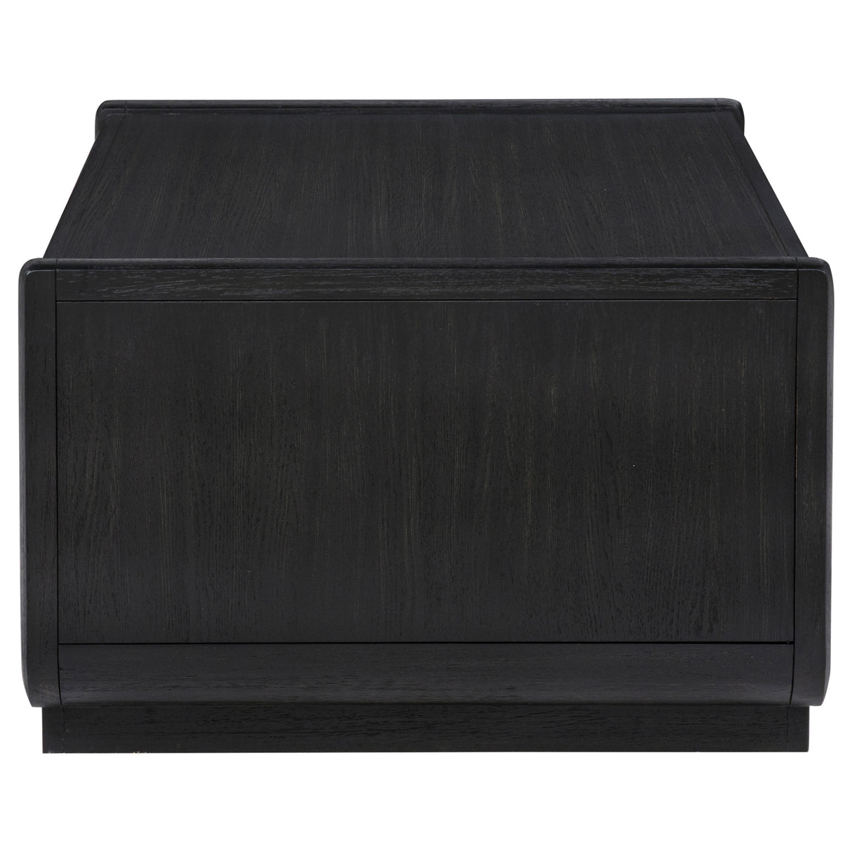 Leandro 2-Drawer Wood Cocktail Coffee Table in Burnished Black