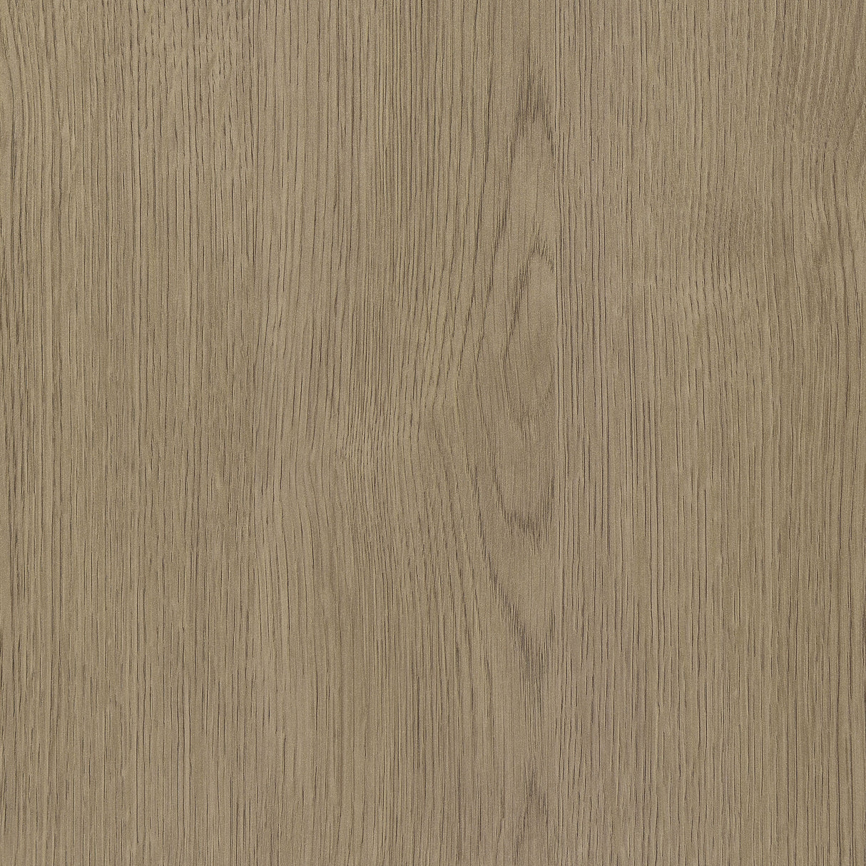 Devar Square Engineered Wood Side End Table in Latte