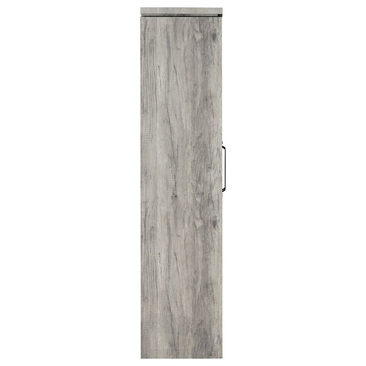 Alejo 2-Door Tall Cabinet in Grey Driftwood