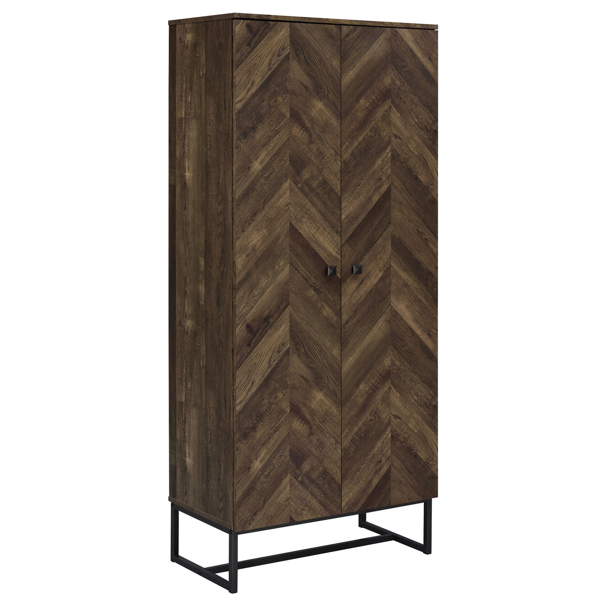 Carolyn 2-Door Accent Cabinet in Rustic Oak Finish