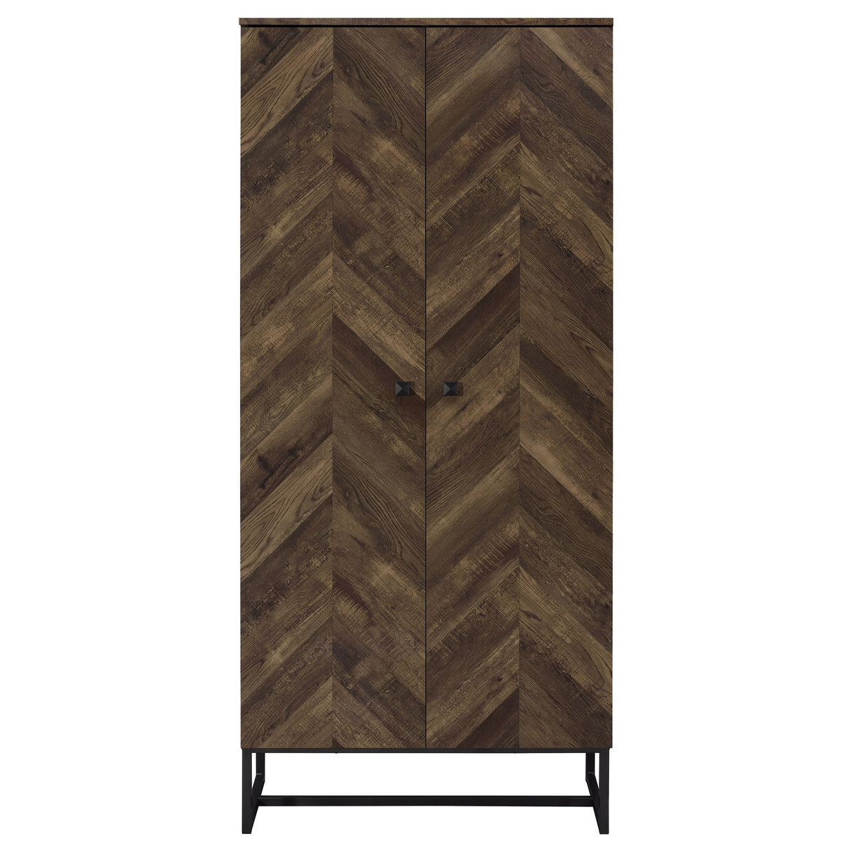 Carolyn 2-Door Accent Cabinet in Rustic Oak Finish