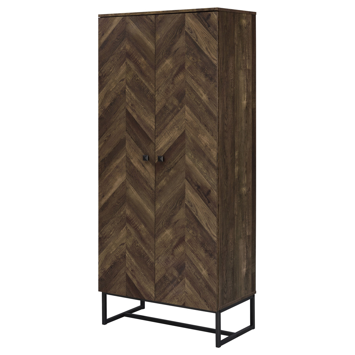 Carolyn 2-Door Accent Cabinet in Rustic Oak Finish