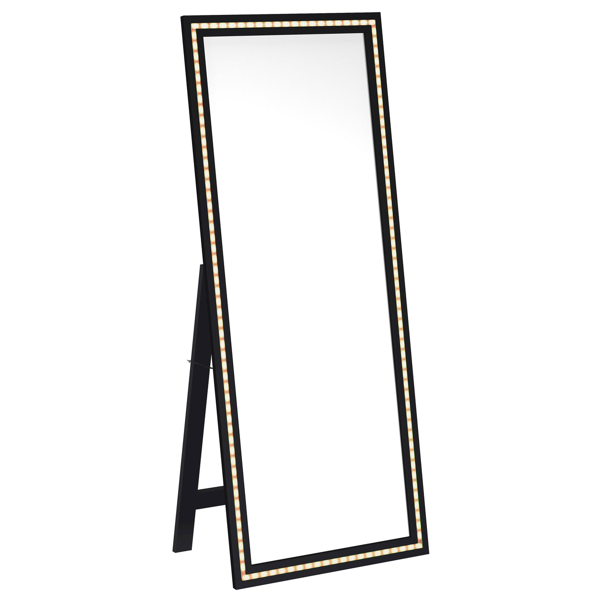 Windrose 28x67 LED Standing Floor Mirror in Black