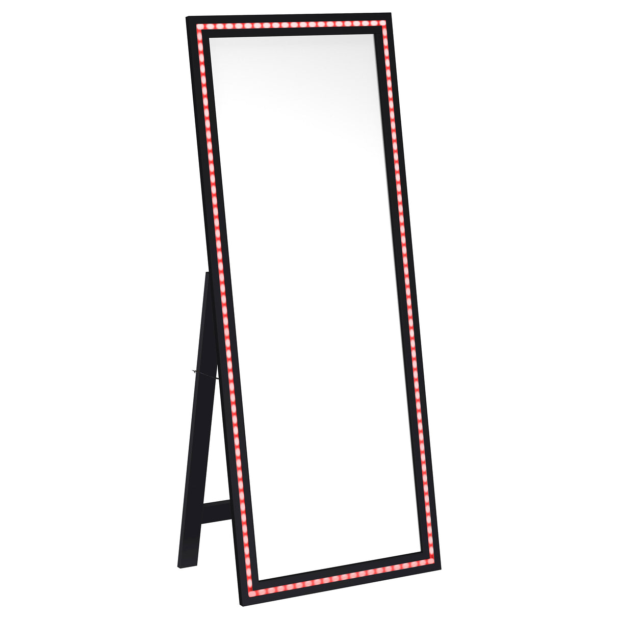 Windrose 28x67 LED Standing Floor Mirror in Black