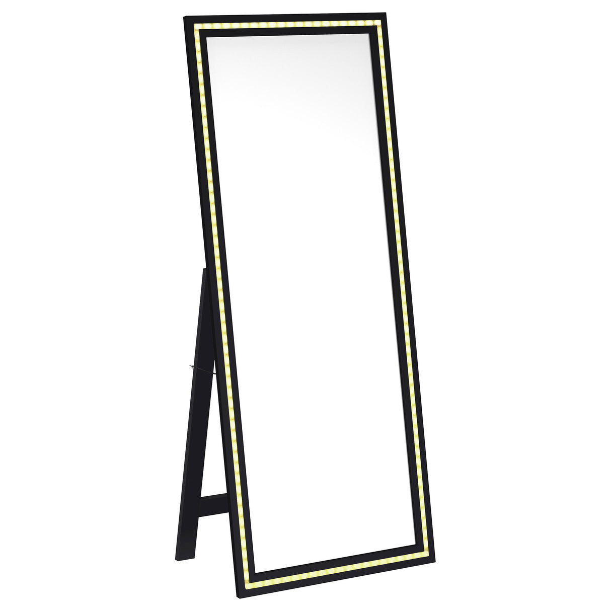 Windrose 28x67 LED Standing Floor Mirror in Black