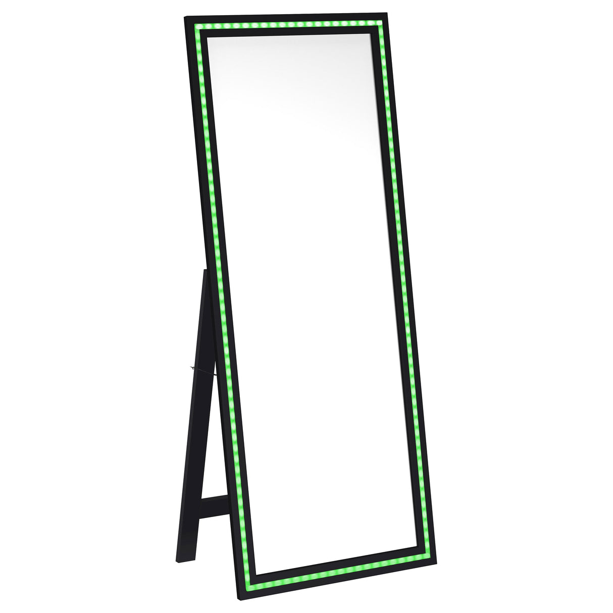 Windrose 28x67 LED Standing Floor Mirror in Black