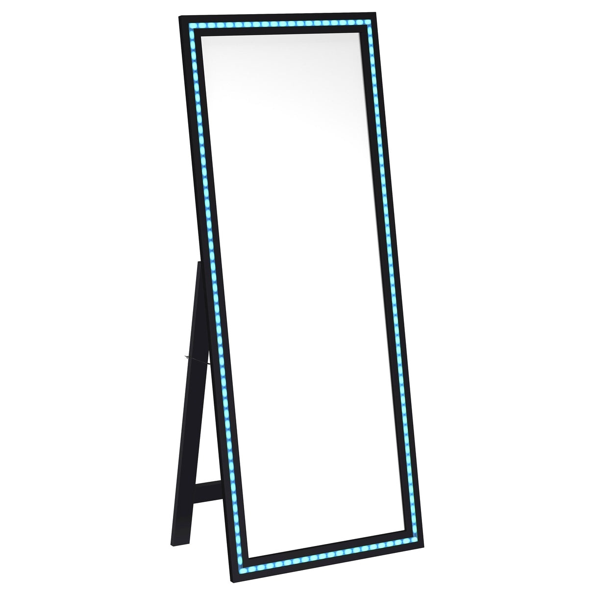 Windrose 28x67 LED Standing Floor Mirror in Black