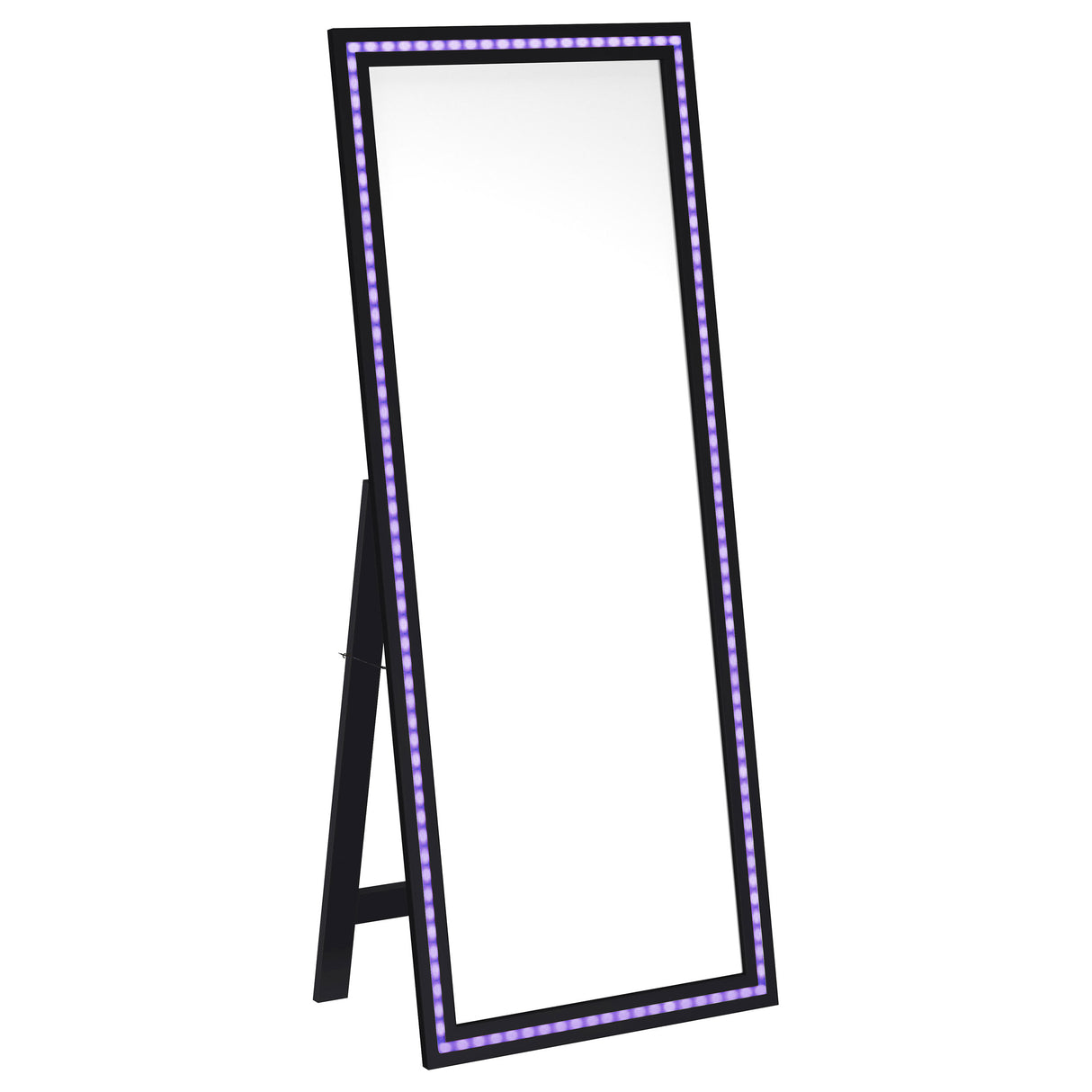 Windrose 28x67 LED Standing Floor Mirror in Black