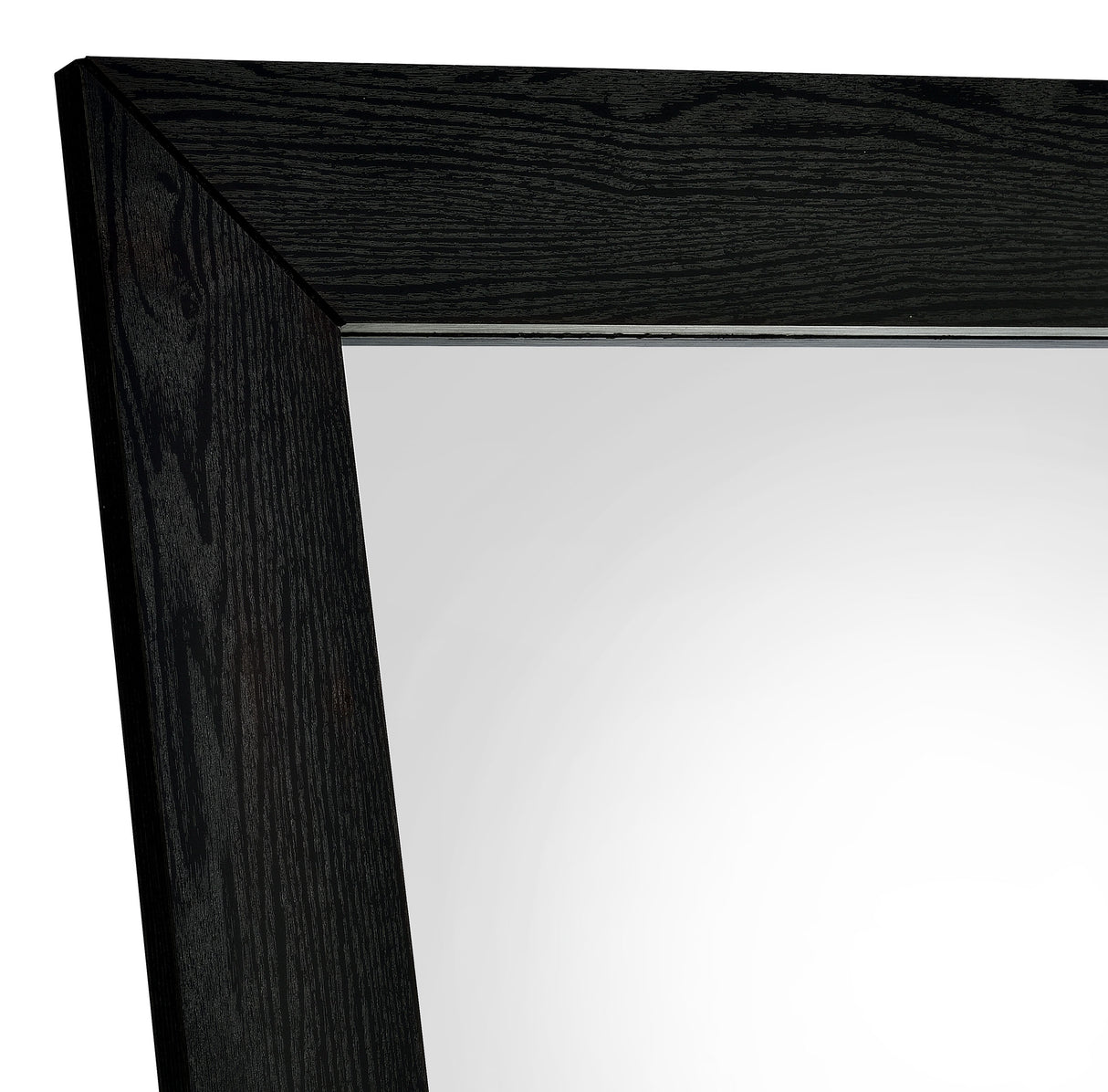 Cadence Black Oak Tempered Glass Full Length Standing Mirror