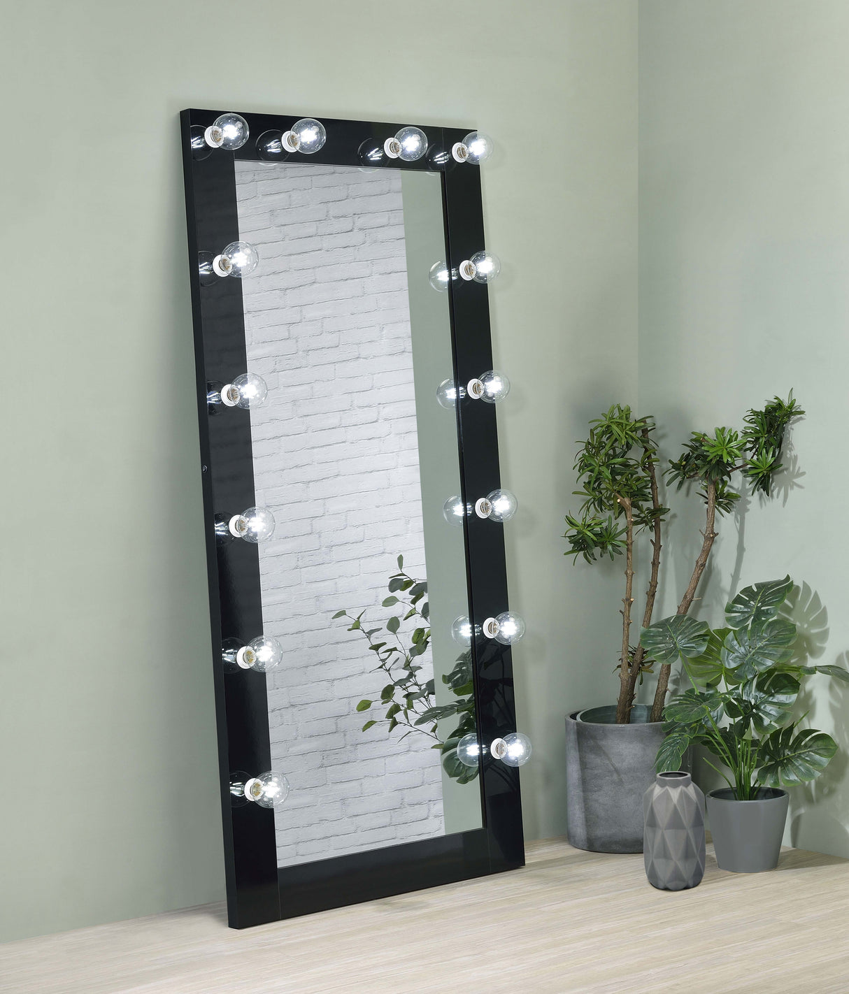 Zayan 32x71 Floor Mirror with LED Lighting, Black High Gloss
