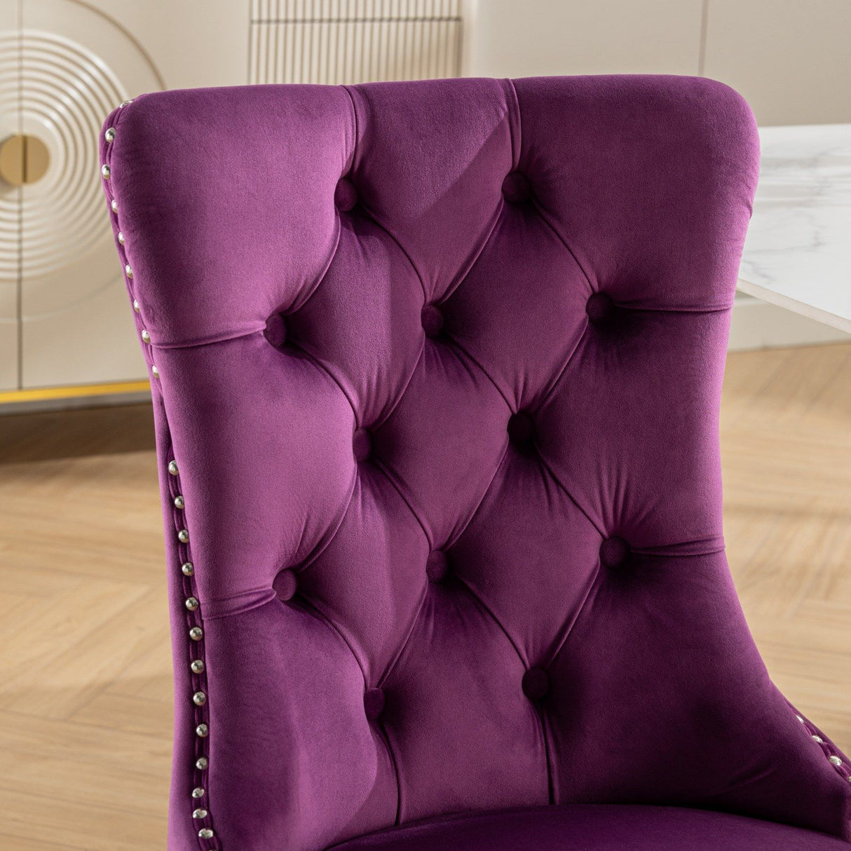 Nikki - Contemporary Upholstered Dining Chair (Set of 2)