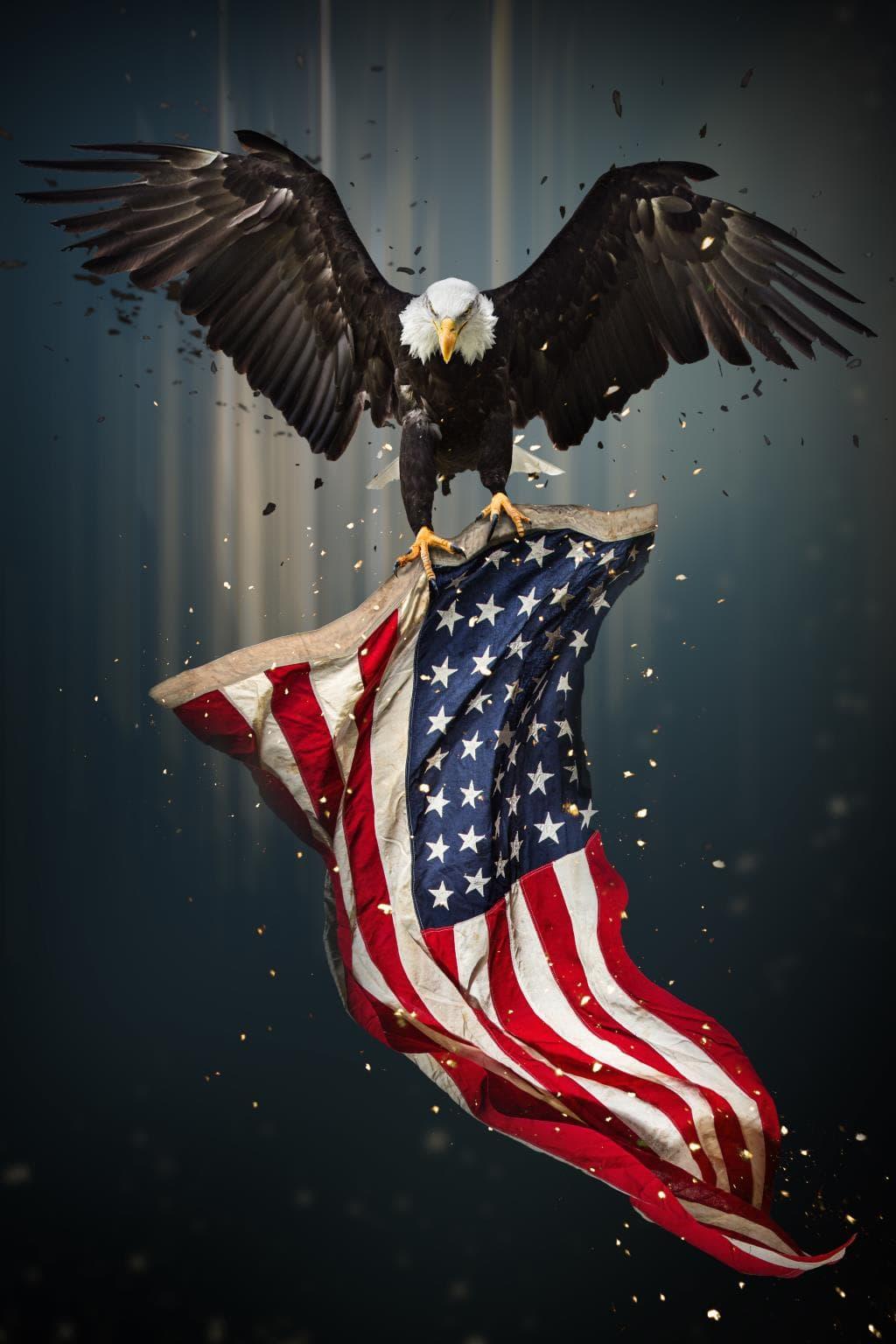 Eagle Flag Tempered Glass with Foil