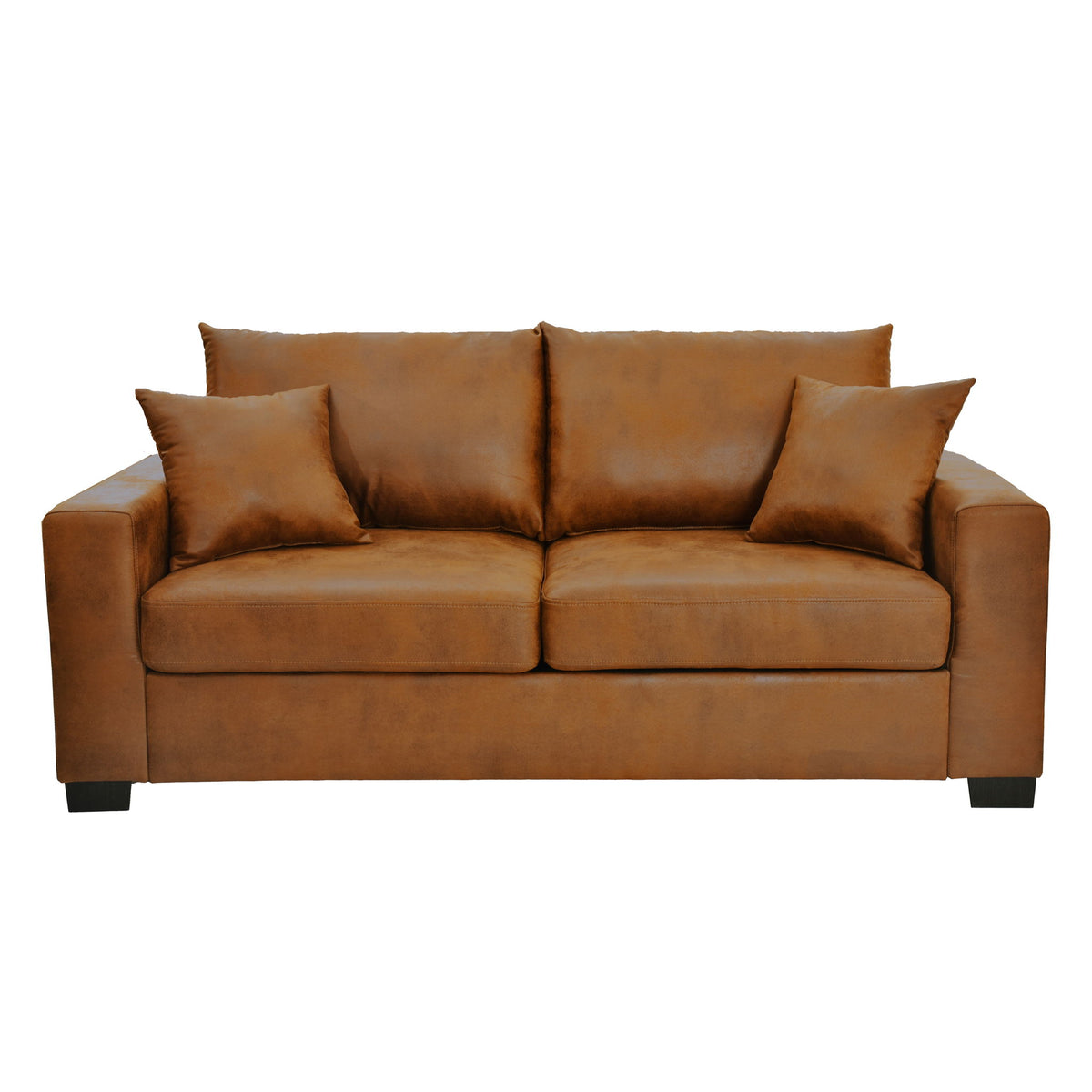 2 Seater Sofa, 2 Throw Pillows For Living Room