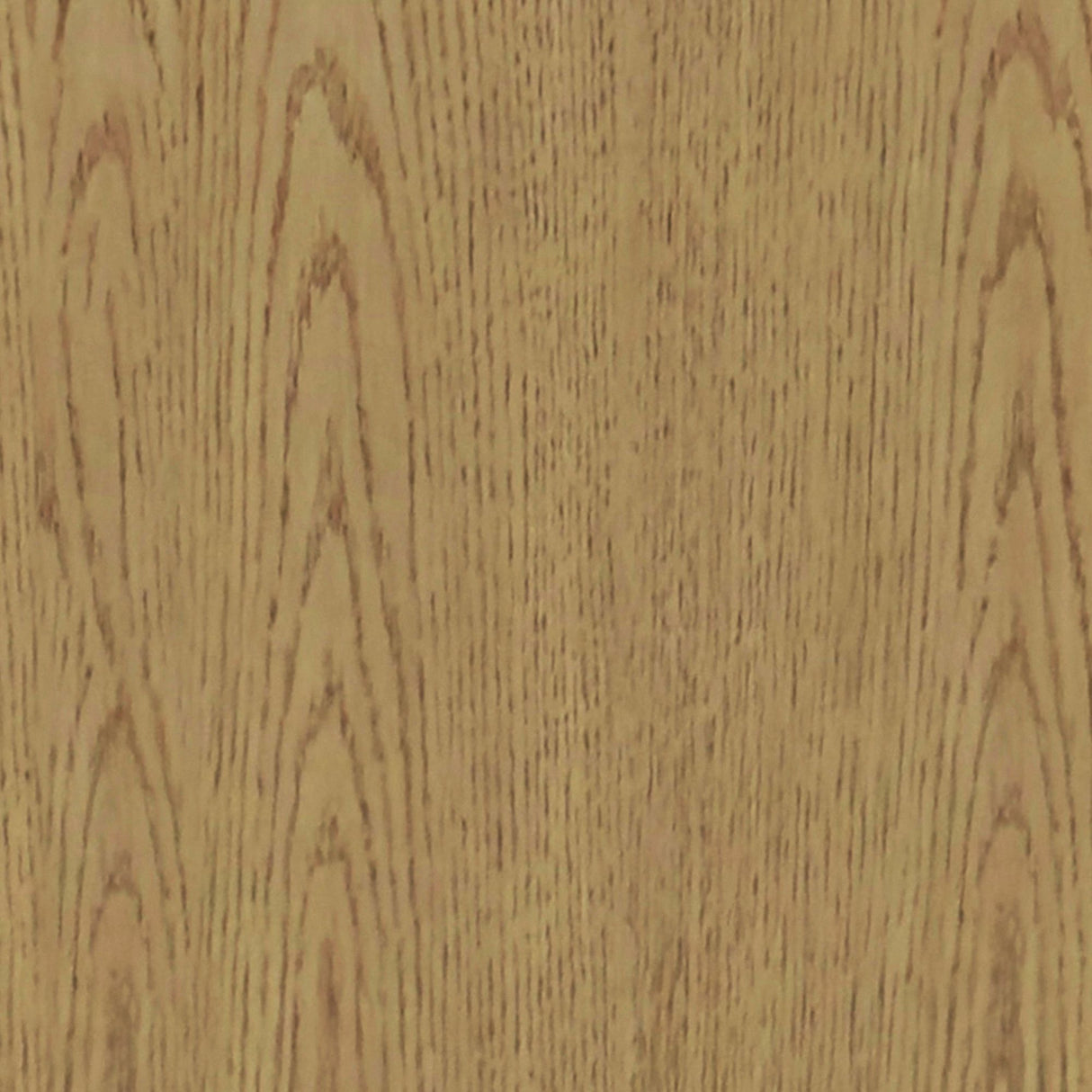 Orion - Bookcase - Oak