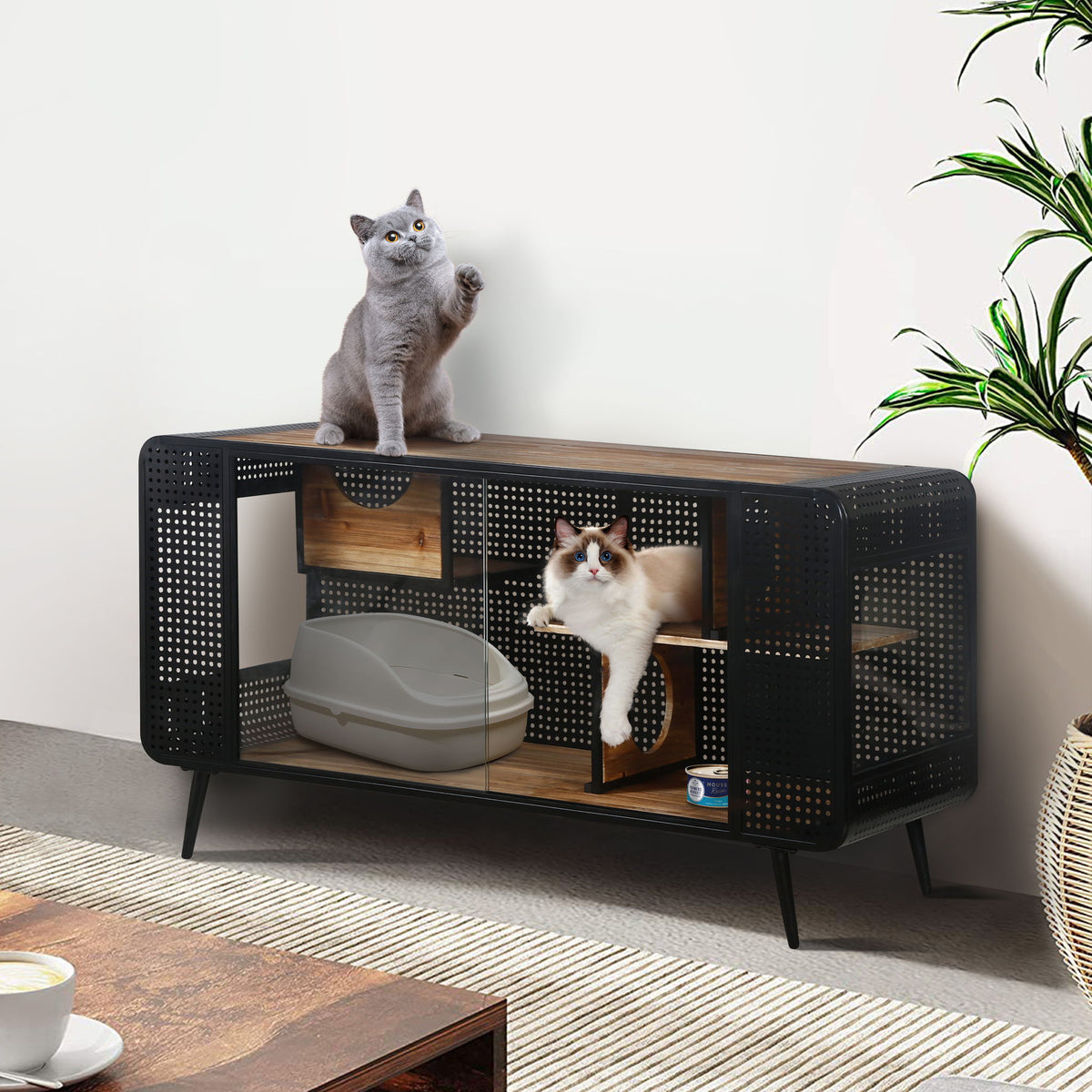Cat House With Tempered Glass