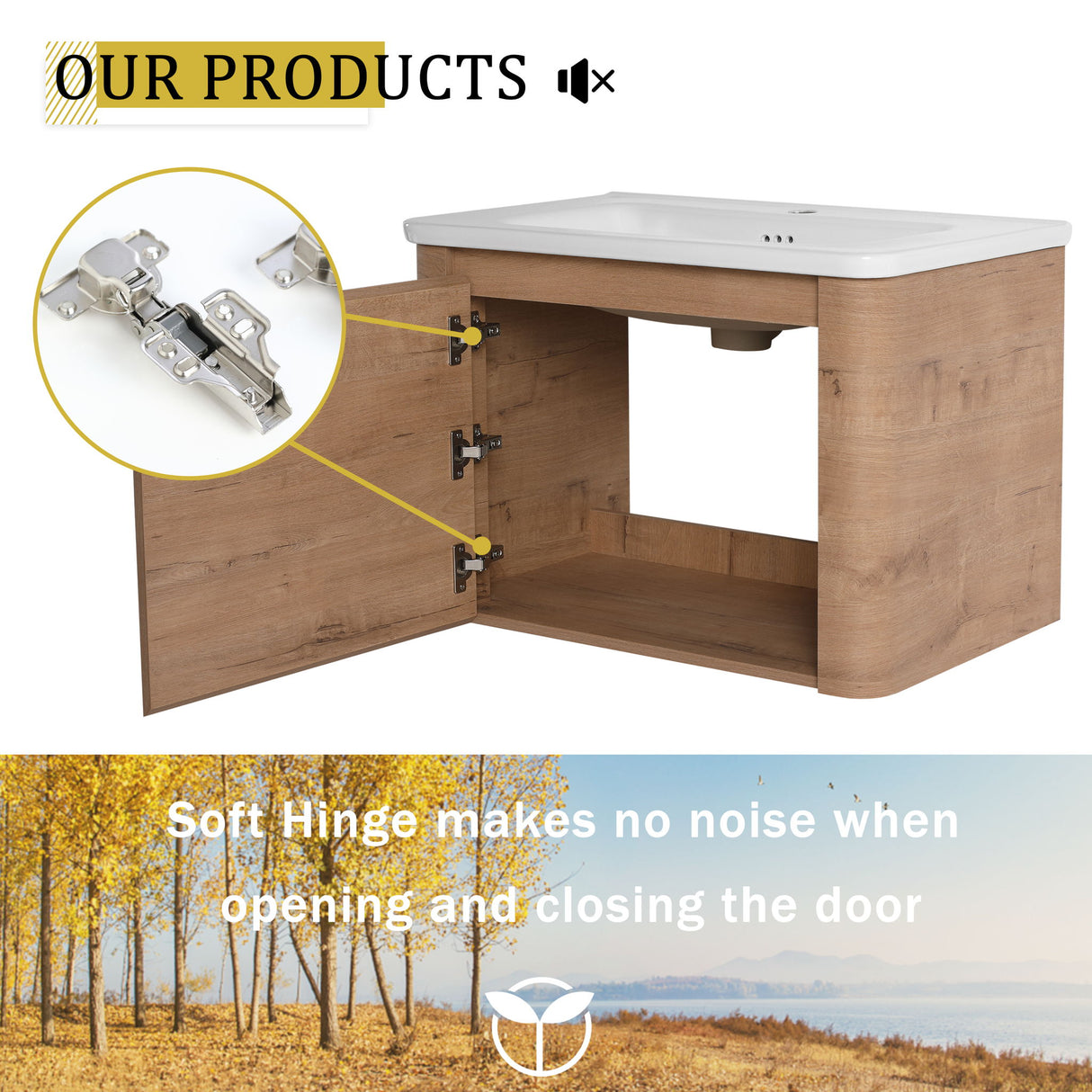 Wall Mounted Bathroom Vanity With Sink & 1 Soft Close Door