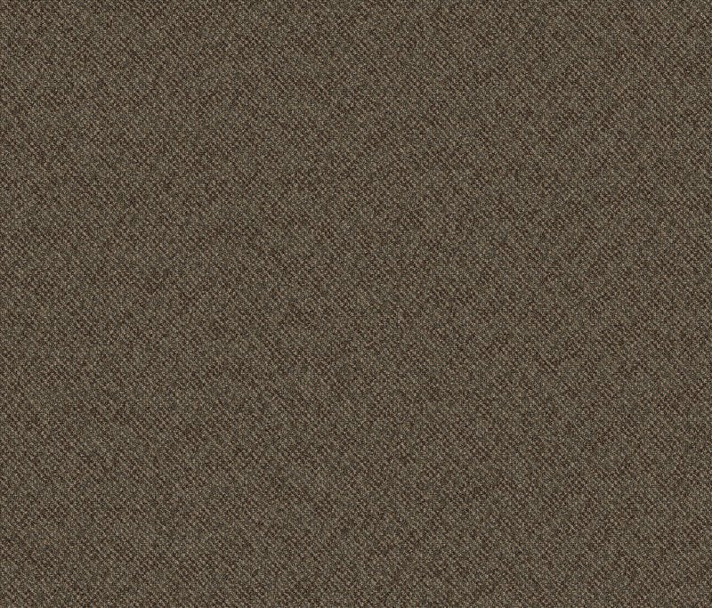 Define Broadloom Denote - Carpet available at Alpine Outlets in Denver