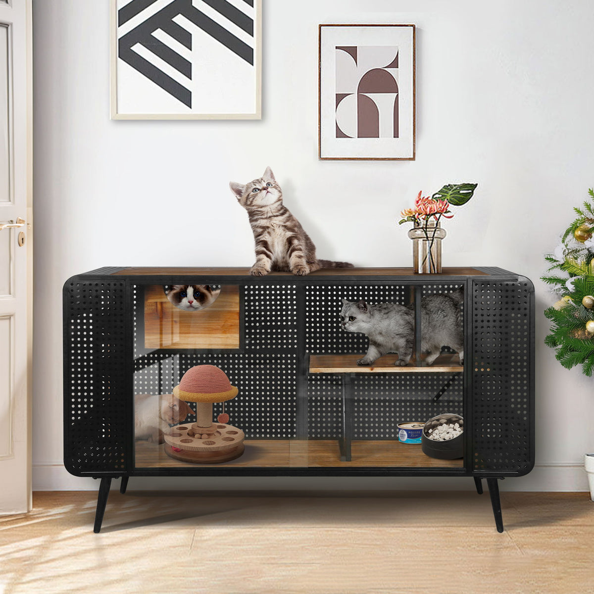 Cat House With Tempered Glass