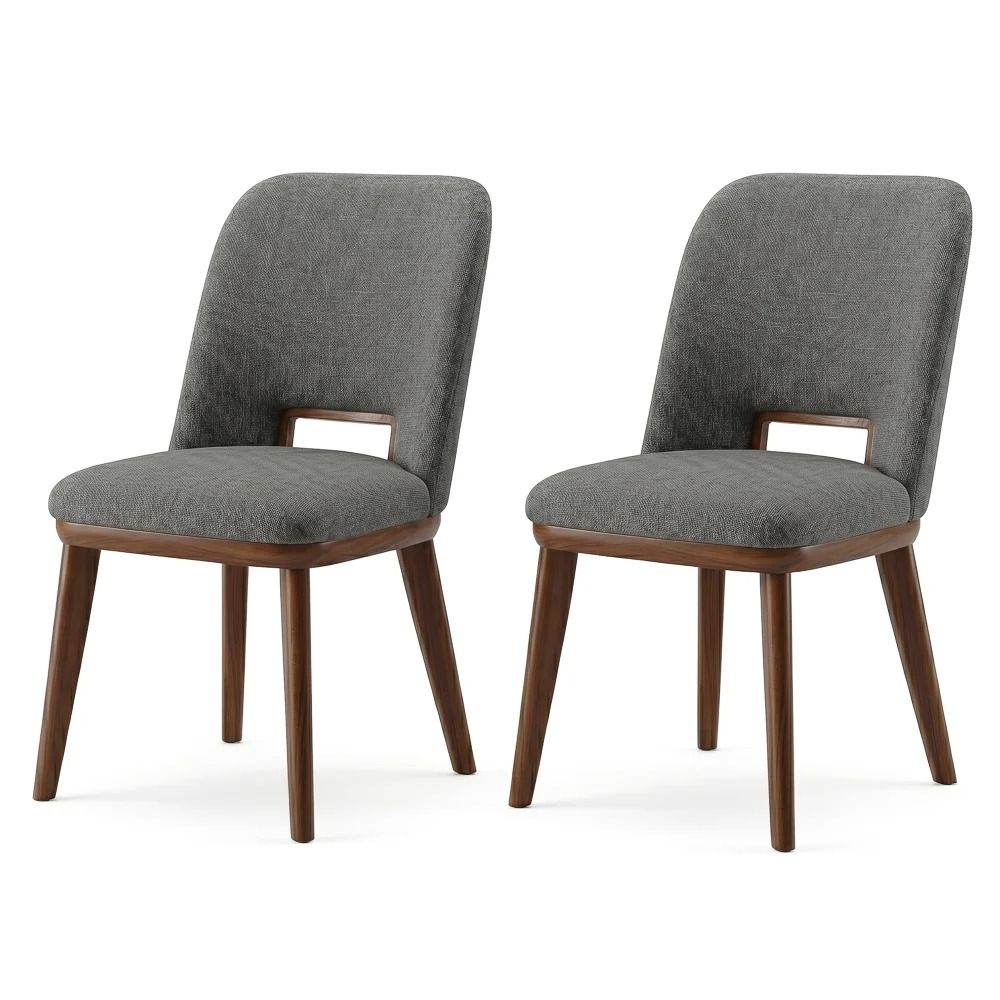 Blake - Modern Dining Chair (Set of 2)