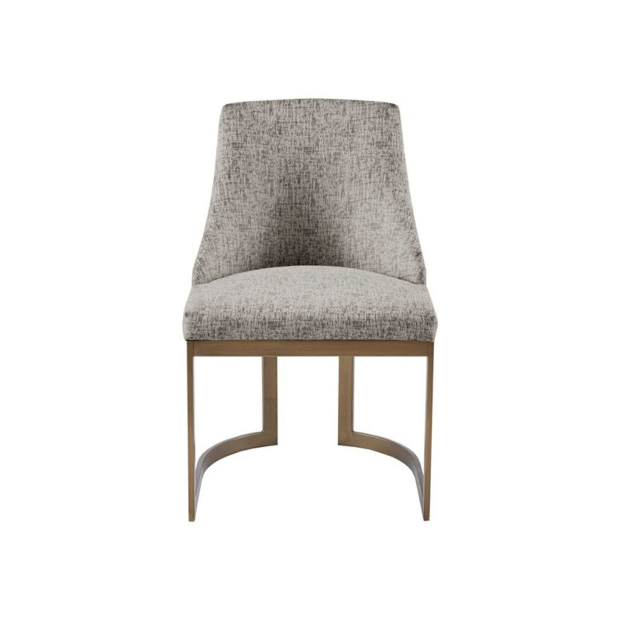 Contemporary Modern Accent Dining Chairs (Set of 2)