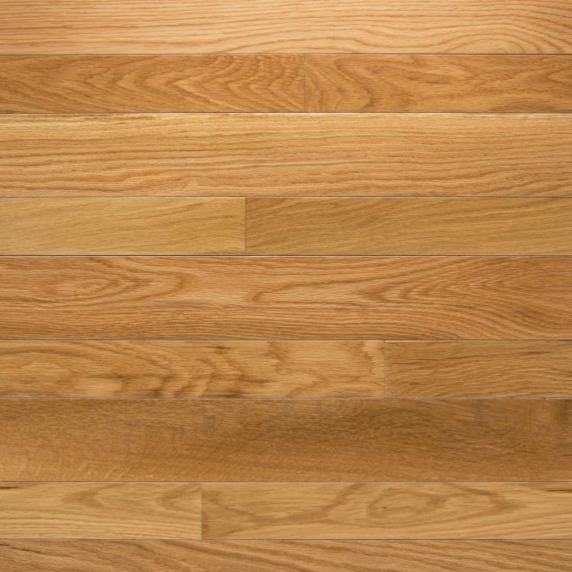 Somerset High Gloss Natural White Oak 2 1/4" Solid Hardwood Flooring - Hardwood Flooring available at Alpine Outlets in Denver