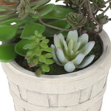 Artificial Succulent, Table Decor (Set of 2) - Green / Beige