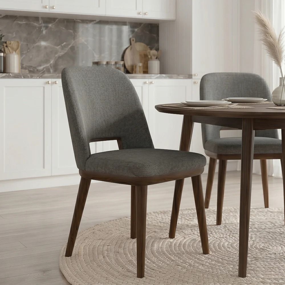 Blake - Modern Dining Chair (Set of 2)