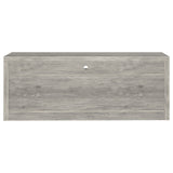 Bergeron - 2 Drawer TV Stand - Driftwood