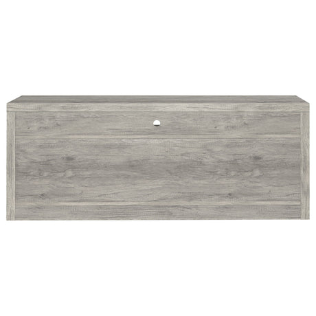 Bergeron - 2 Drawer TV Stand - Driftwood