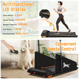 Dog Treadmill For Small To Medium Dogs With LED Display - Black / Orange