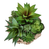 Artificial Succulent, Table Decor (Set of 2) - Green